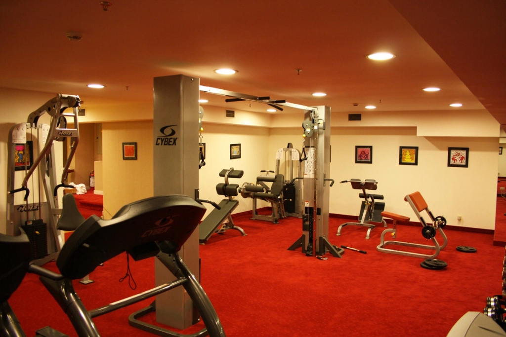 Piraeus Theoxenia Hotel - Général