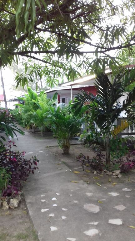 Roots Bamboo Beach Resort by null