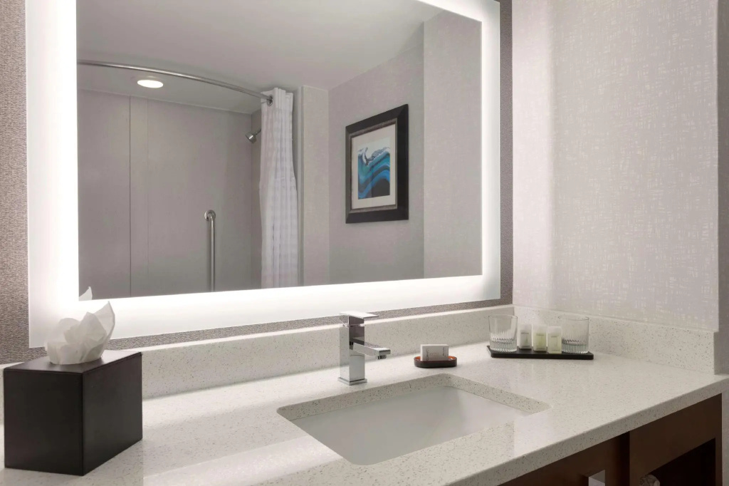 Embassy Suites by Hilton Atlanta Airport - Chambres
