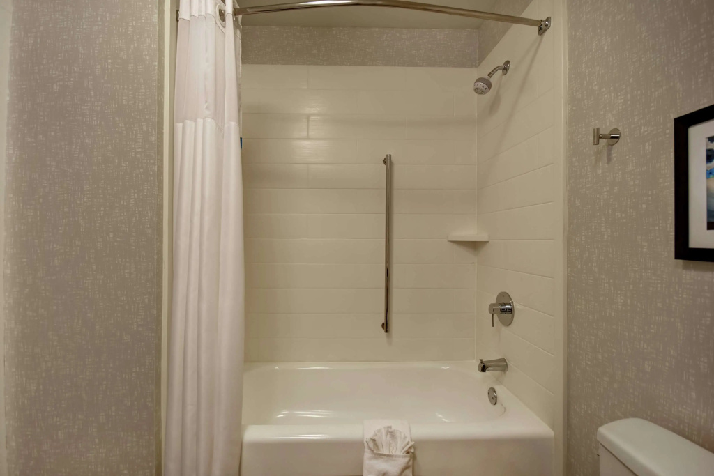 Hampton Inn Atlanta-Mall Of Georgia - Général