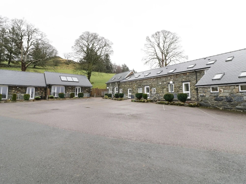 Arenig
