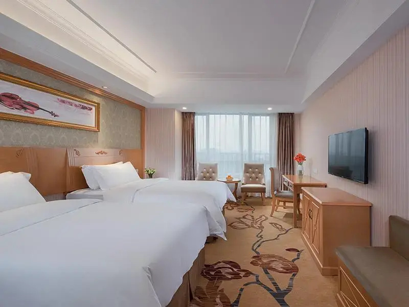 Vienna Hotel Heyuan Longchuan Branch - Chambres