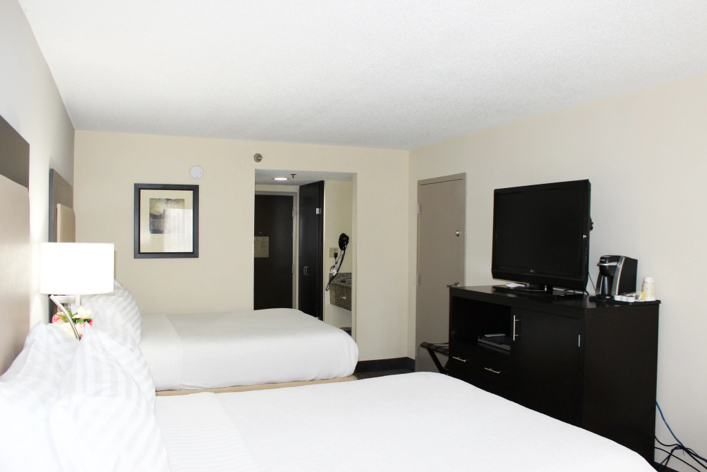 Holiday Inn Atlanta-Northlake by IHG - Général