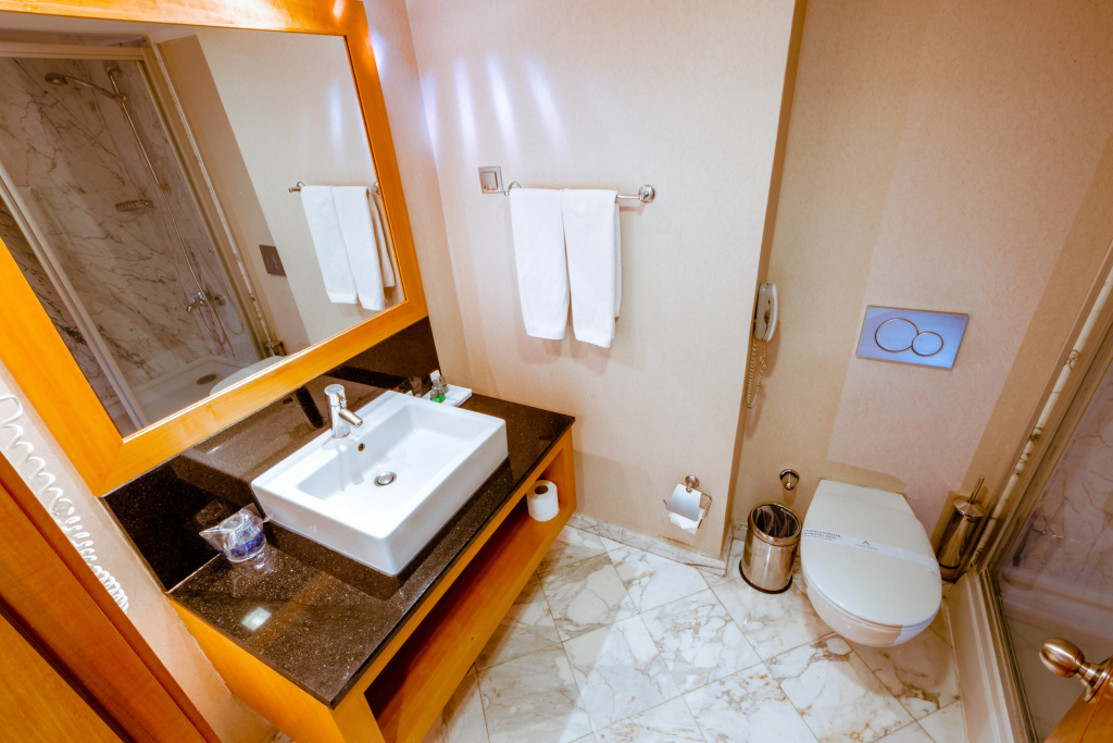 Ankara Plaza Hotel - Général