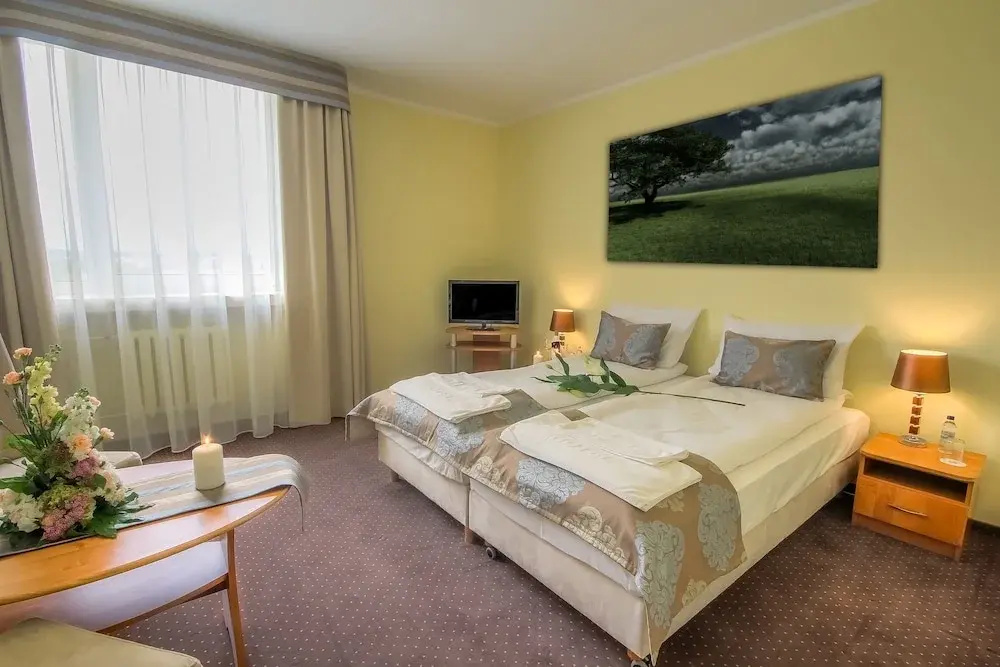 Standard Double room (full double bed)