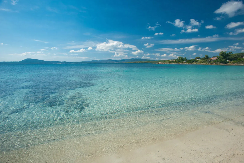 The Pelican Beach Resort & SPA - Adults Only - Général