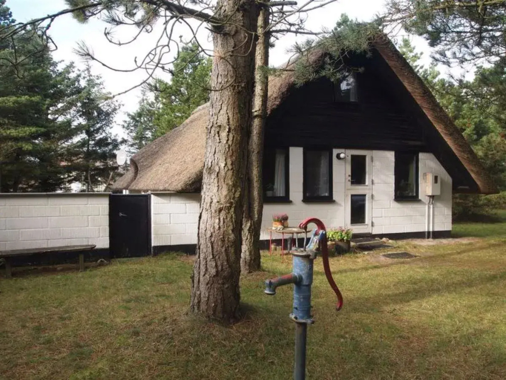 "Aafje" - 1.3km from the sea in Western Jutland