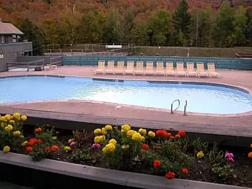Village of Loon Mountain - VI - Général
