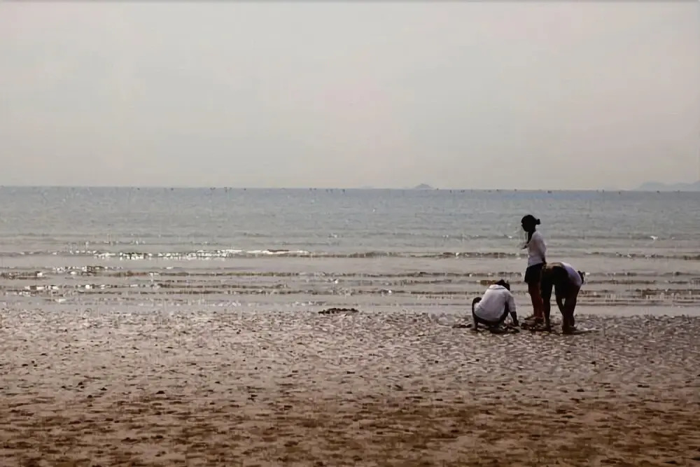Image 36