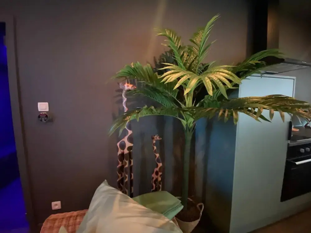 Hotel photo 32