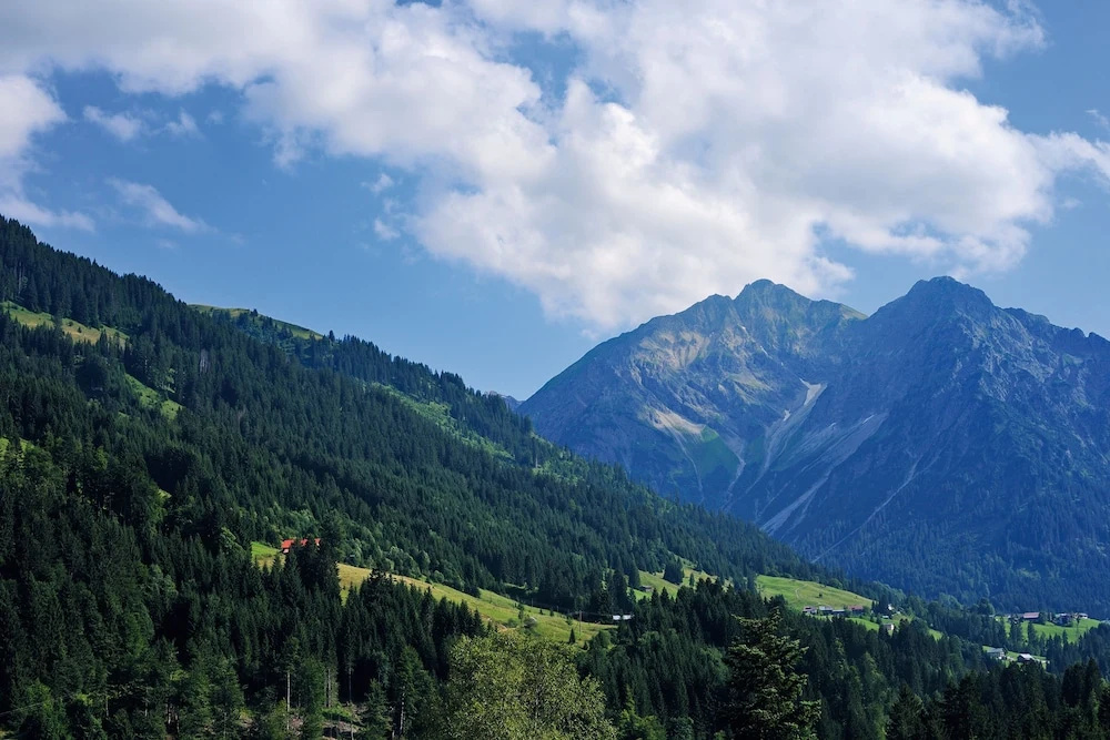 A-ROSA Ifen Hotel Kleinwalsertal - Chambres
