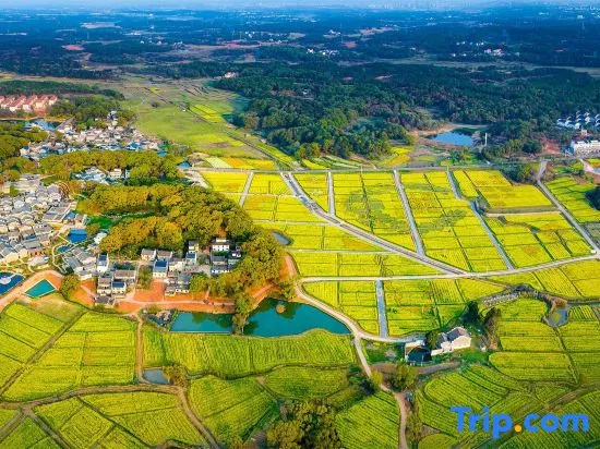 Ji'an Huakai Youshi Homestay in Jian