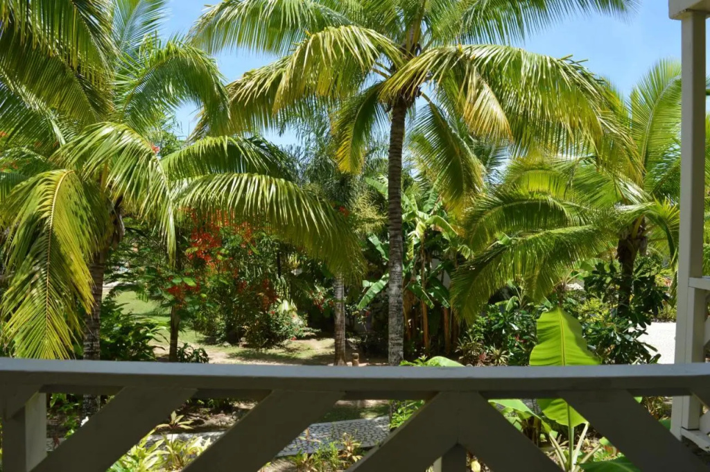 The Edgewater Resort & Spa - Général
