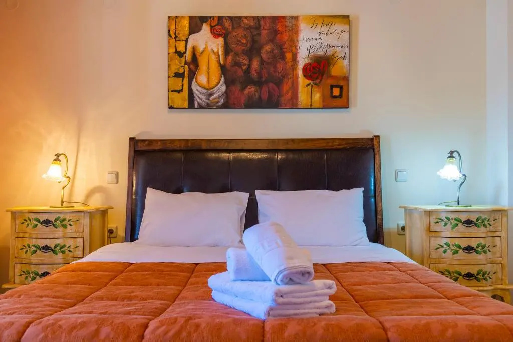 Standard Double room with mountain view (full double bed)