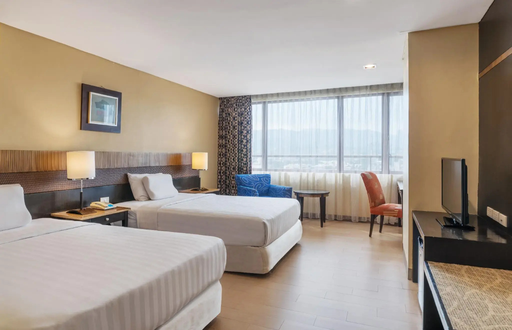 Deluxe Double room (twin beds)