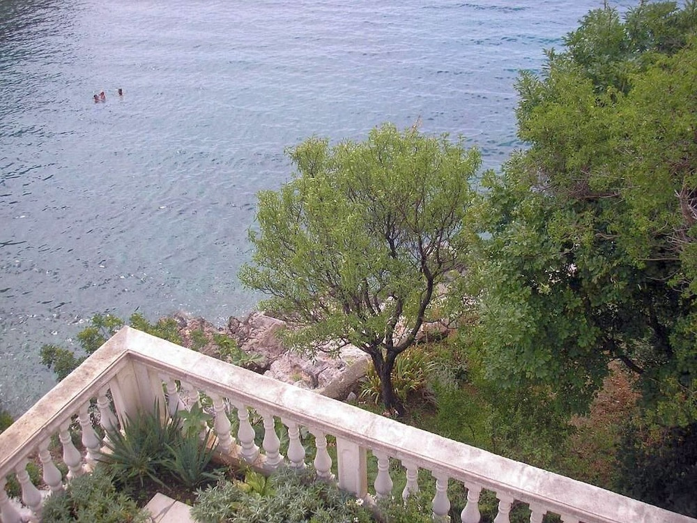 Apartment Orlic