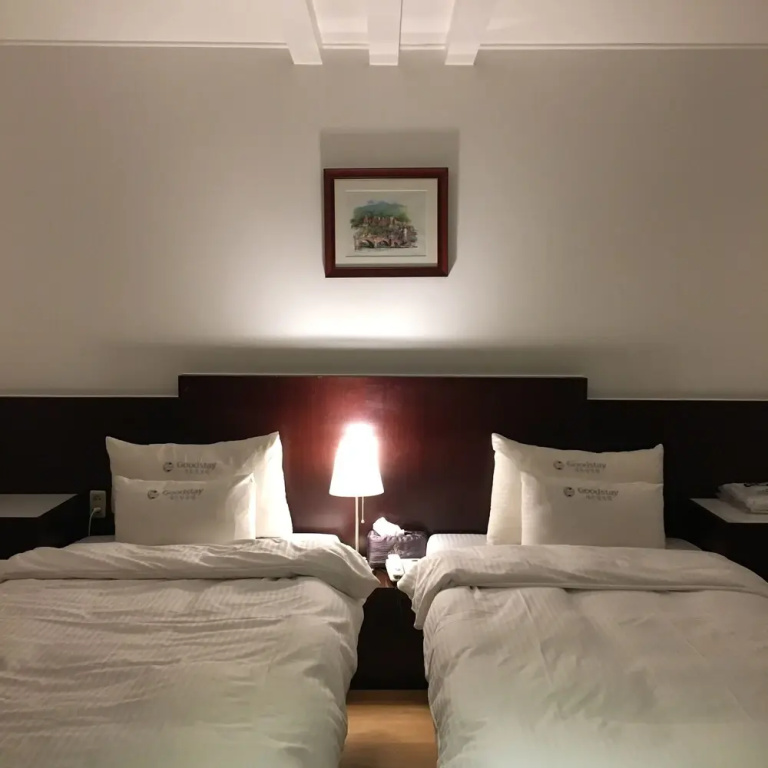Standard Double room (twin beds)