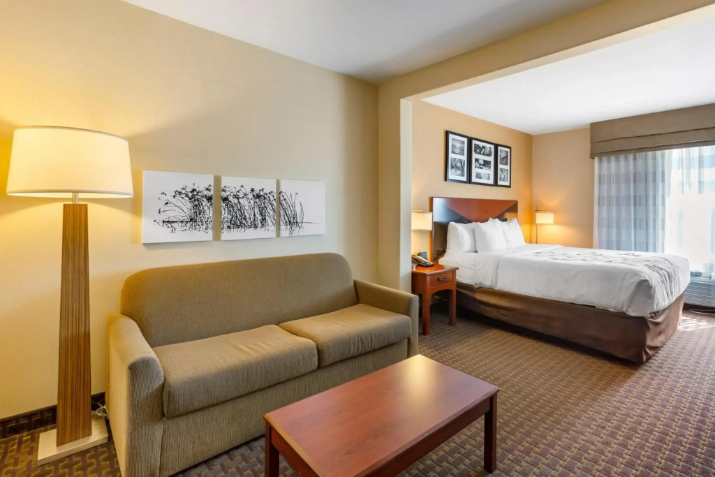 Garner Hotel Idaho Falls Southwest by IHG - фото 37