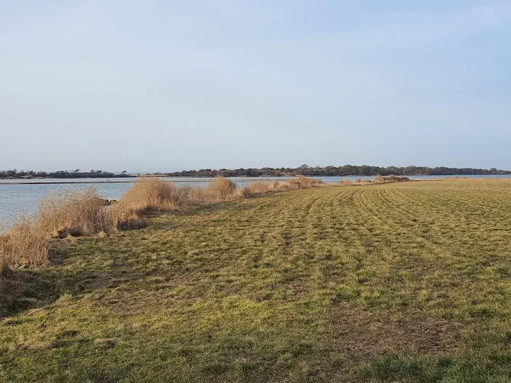 6 Person Holiday Home in Guldborg