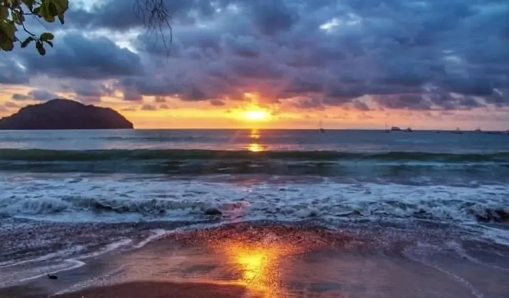 The Ark #1 - фото 22