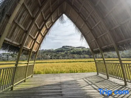 Balishiguang Forest Leisure Vacation Homestay