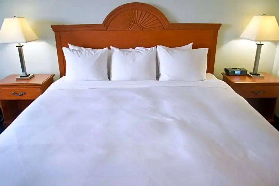Double room (twin beds)