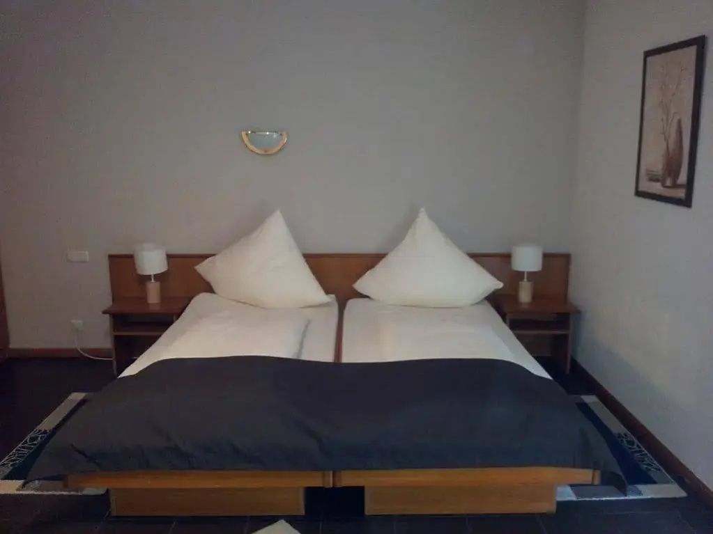 Hotel Lindenhof - Général