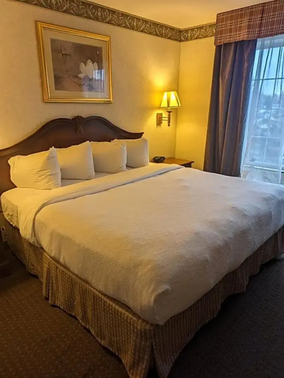 Wingate Suites By Wyndham Mansfield - Chambres