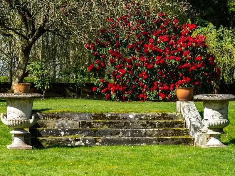 Rudby Hall - Chambres