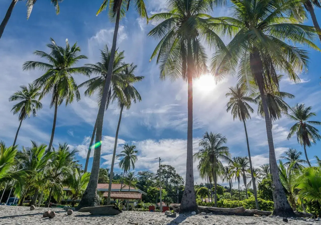 Hotel Manuel Antonio - Général