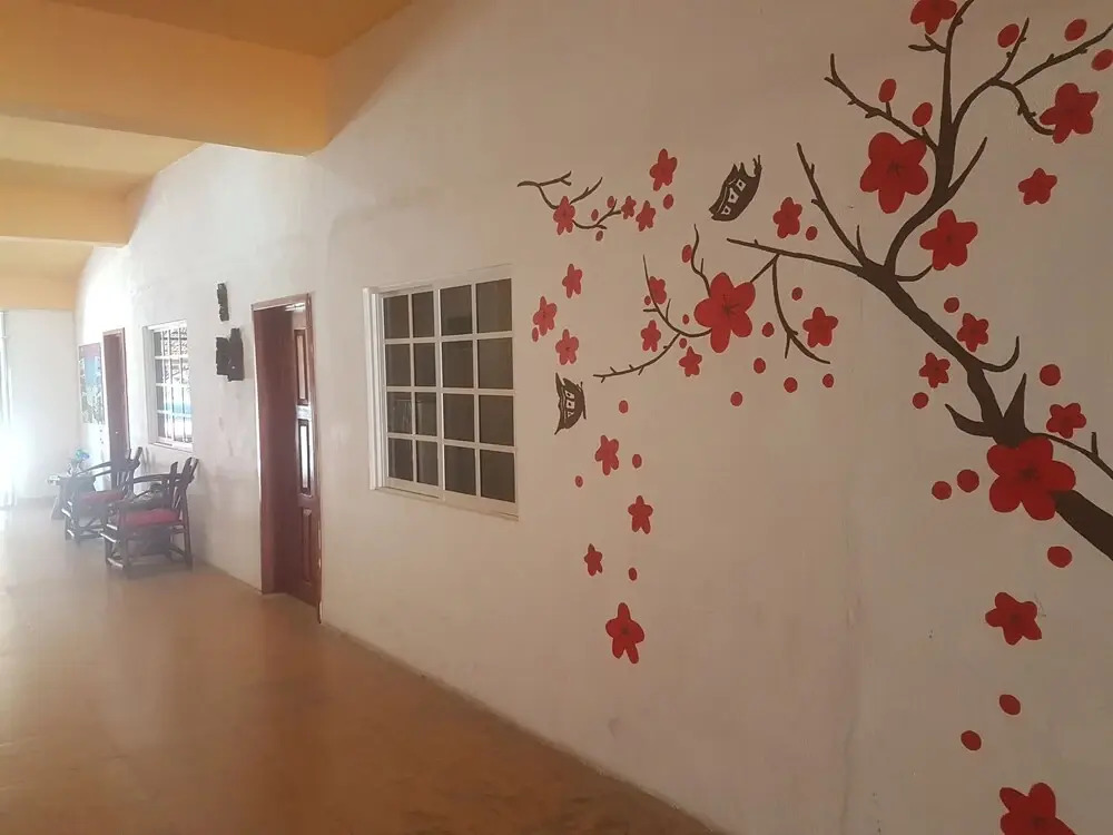 Cedro Tulum - фото 11