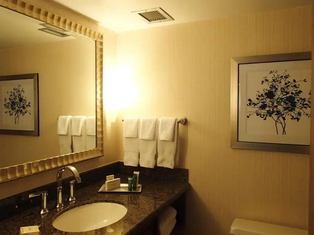 Hilton Arlington - Chambres