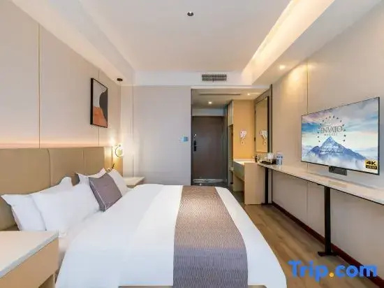 Standard Double room with city view (full double bed)