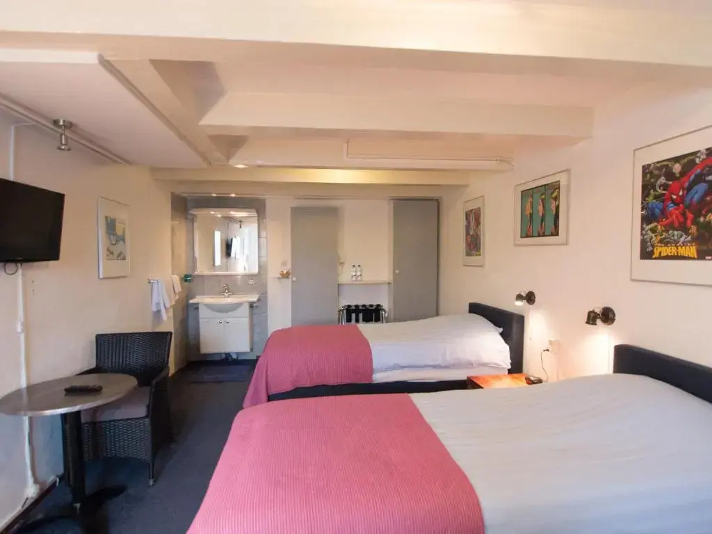 Standard Double room (full double bed)