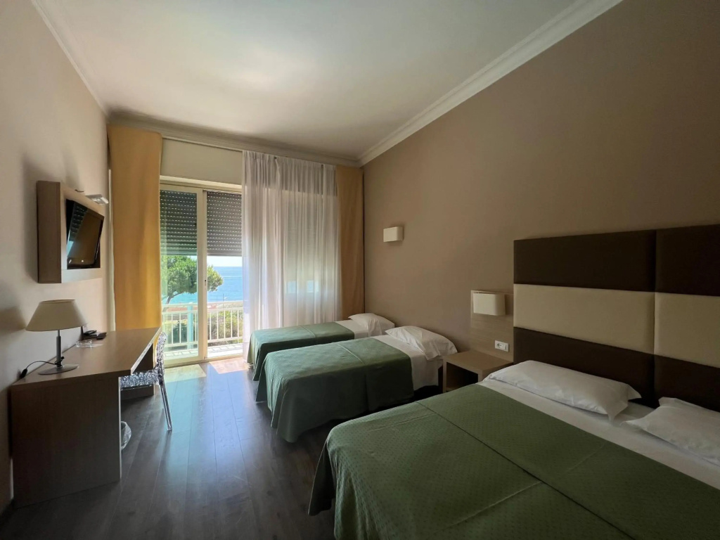 Hotel Napoleon - Général