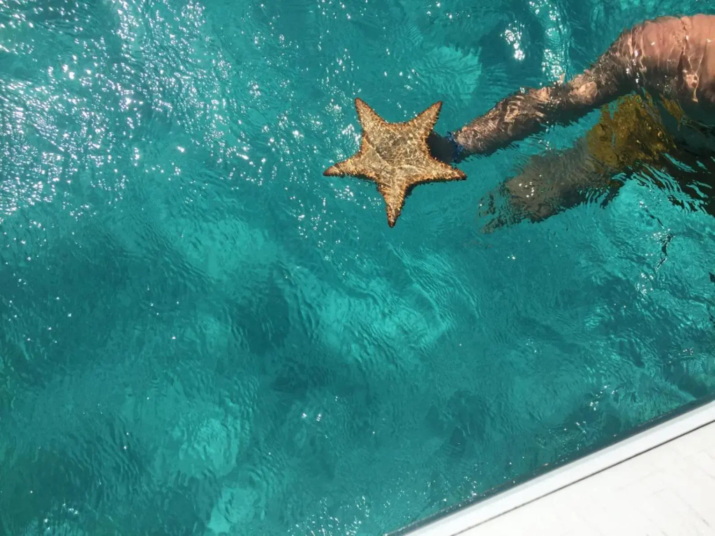 ZANNAMALAKA 2 F1 POUR UN GROUPE DE 4 Avec Piscine