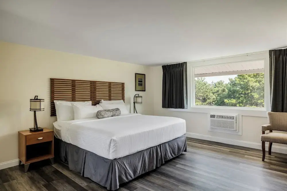 Standard Double room with park view (full double bed)