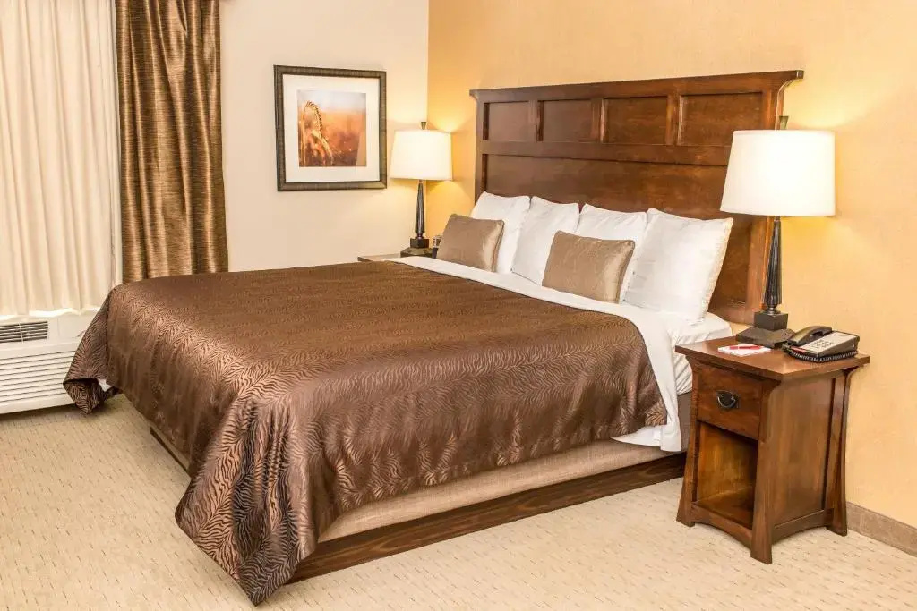 Teddy's Residential Suites New Town - Chambres