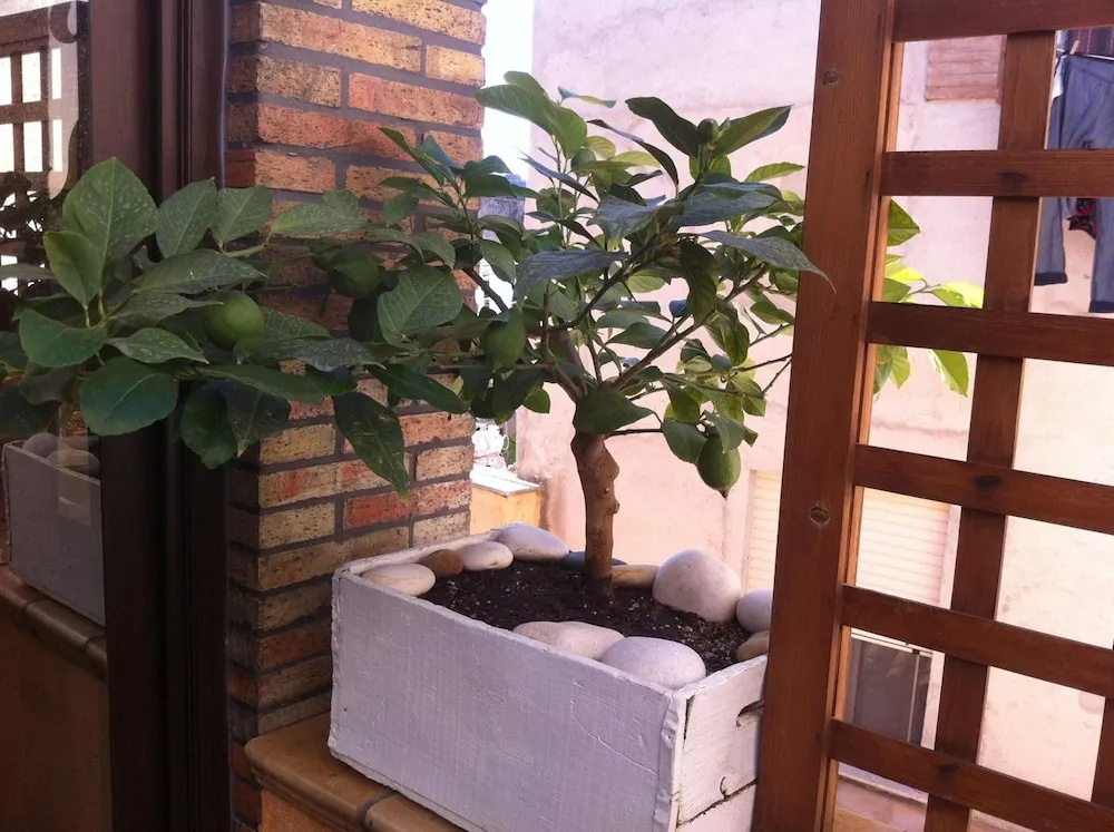 Guest House La corte normanna