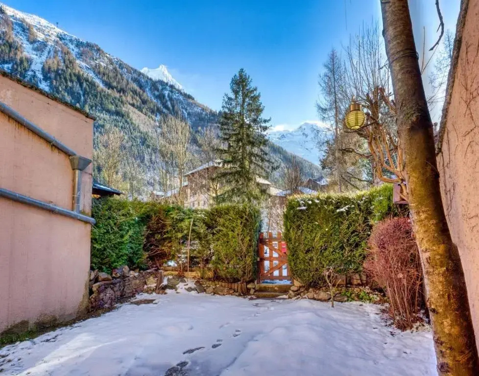 Afficher la photo 8 — 181 Terrasse Mont-Blanc - 1 Chambre