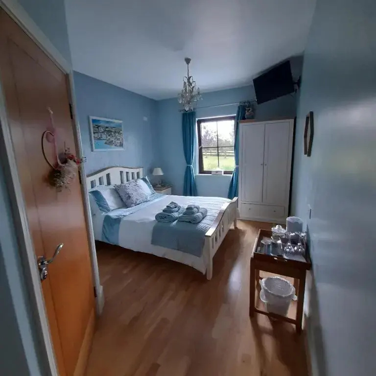 Standard Double room with garden view (full double bed)