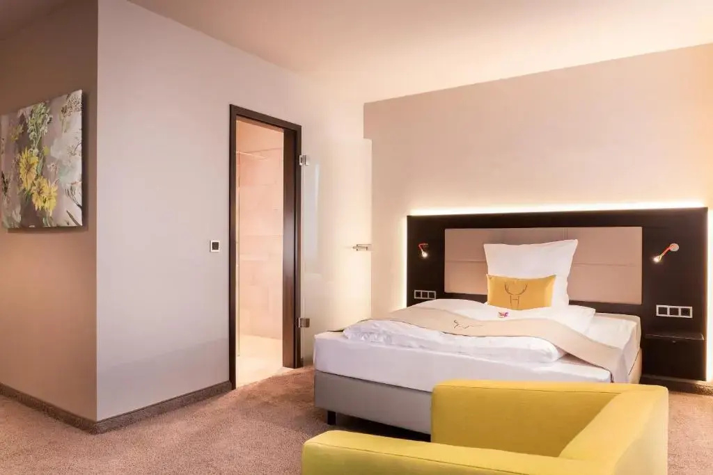 Superior Double room (full double bed)