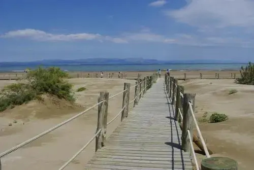 Beach & Waterfront