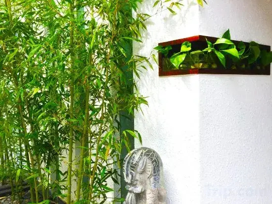 Hotel photo 33