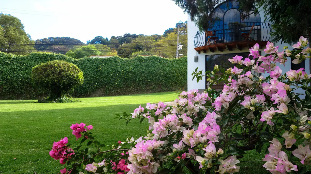 Colibrí Hotel - Général