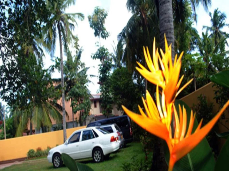 The Bliss Hotel