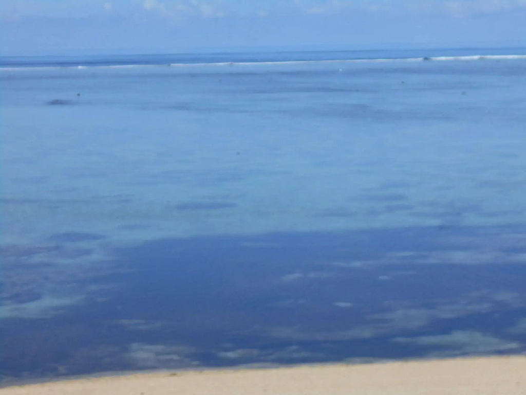 Bedarra Beach Inn - Général