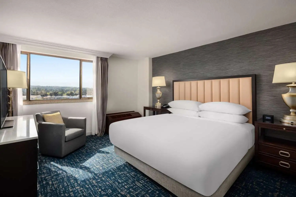 1 Bedroom Presidential Double Suite (full double bed)