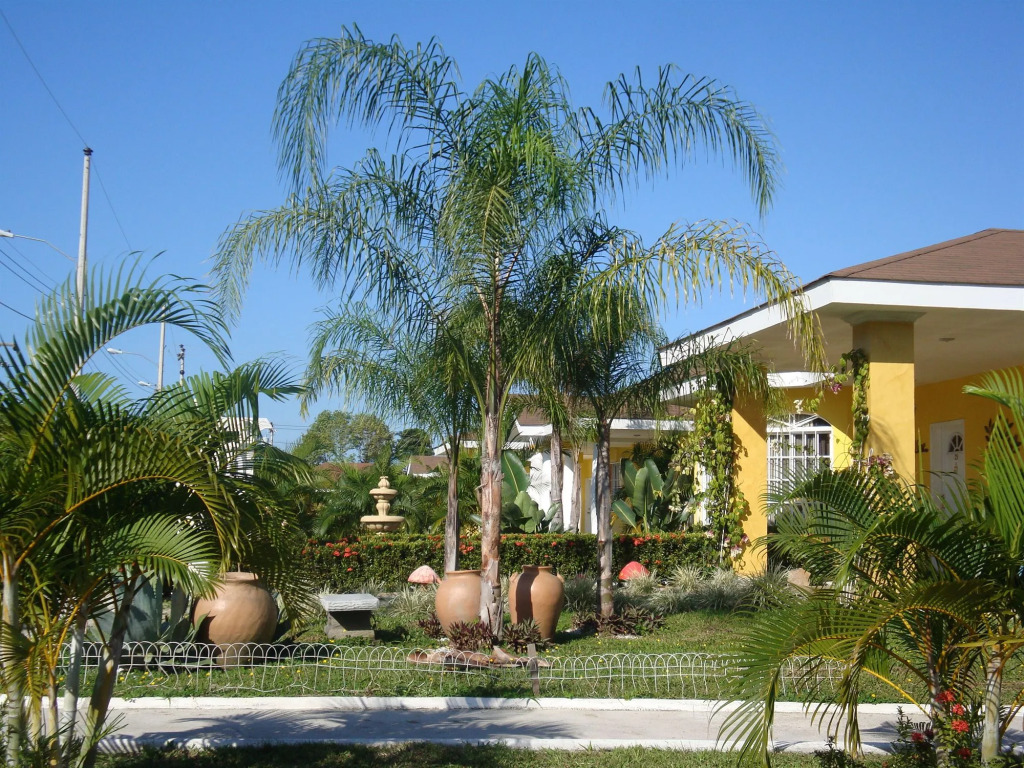 Hotel Palma Real - All Inclusive