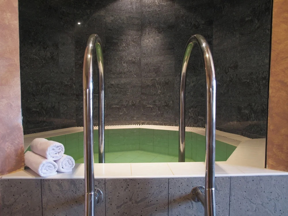 Wellness hotel Jean de Carro - Général